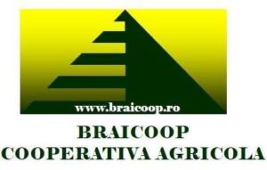 Braicoop